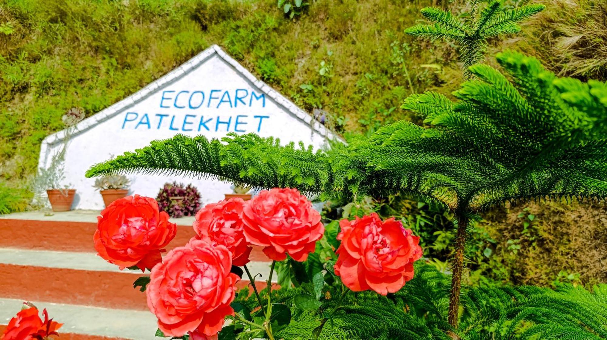 Patlekhet Eco Farmhouse Dhulikhel Exterior photo